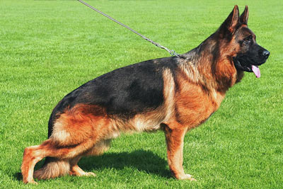 Lasso vom Grafenbrunn