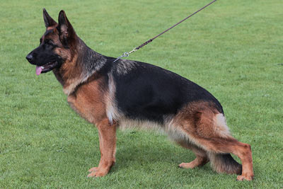 Ixy von der Sulzbachwiese